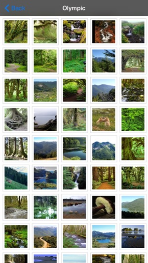 Olympic National Park Tourism(圖5)-速報App