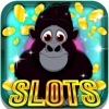 The Gorilla Slots: Enjoy the best virtual casino games and gain the tropical forest crown