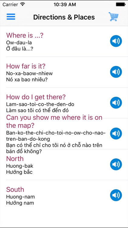 Speak Vietnamese - Phrasebook for Travel Viet Nam