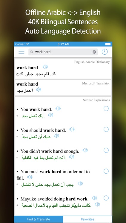 Arabic Translator, Offline English Dictionary