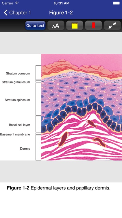 Dermatology Secrets Plus screenshot-4
