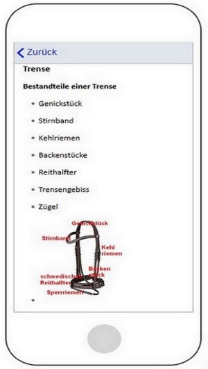 Baisipass für Reitabzeichen(圖3)-速報App