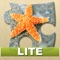 Bright Puzzles: Sea Life Lite