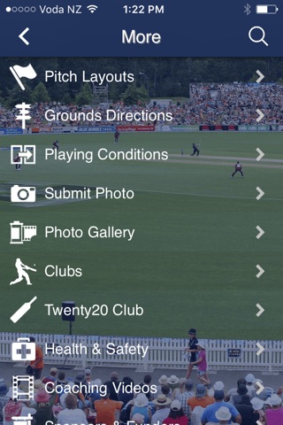 Nelson Cricket screenshot 2