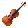 Training Violin - Easy Learn Violin For Video