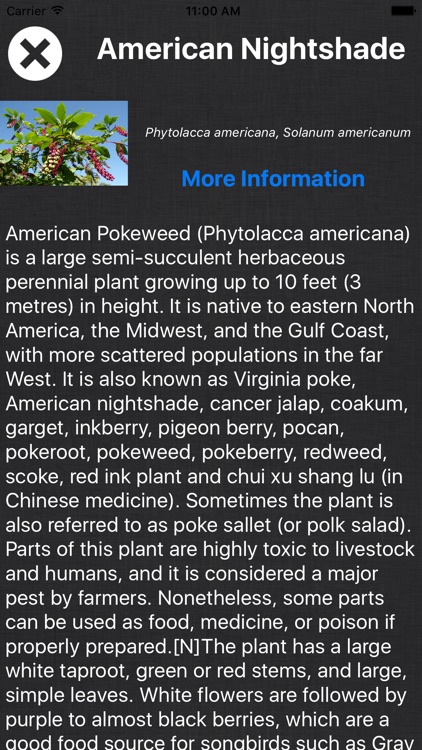 Plant Book - Information Of A - Z Plant Species