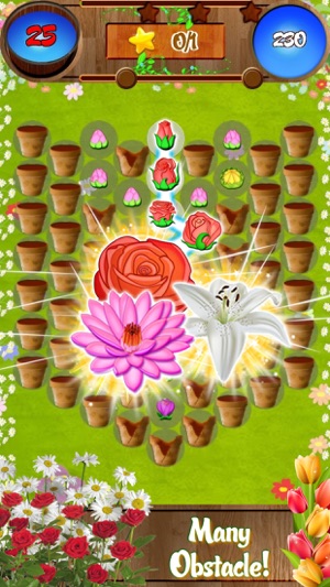 Flower Forest Blast(圖2)-速報App