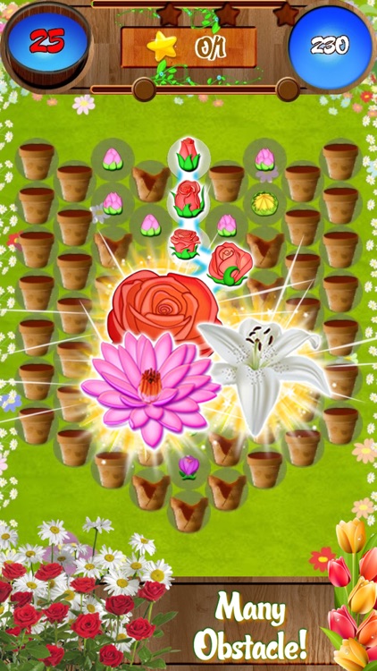 Flower Forest Blast