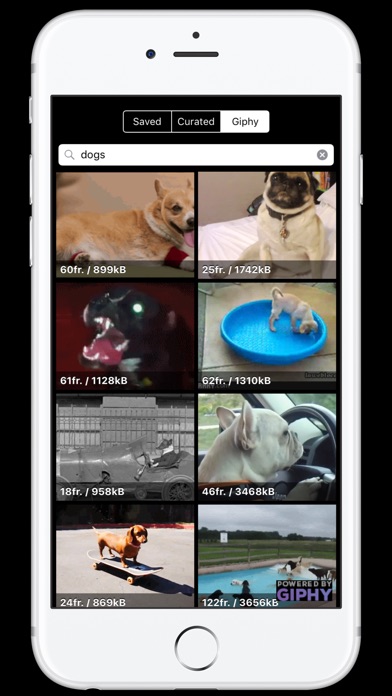 5SecondsApp - GIFのスクリーンショット4 5SecondsApp - GIFのスクリーンショット4