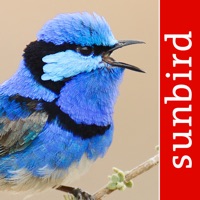 Bird Song Id Australia - Automatic Recognition apk