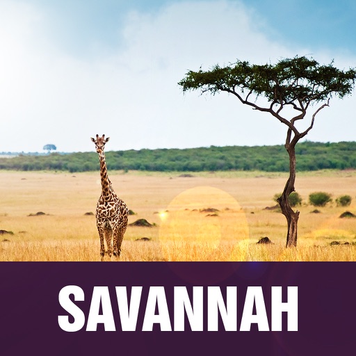 Savannah Tourism icon