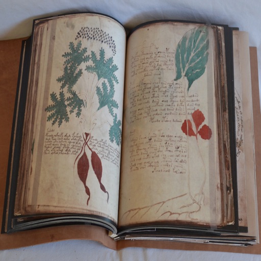 Voynich Manuscript Guide