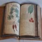 Voynich Manuscript Guide is an excellent collection with photos and info