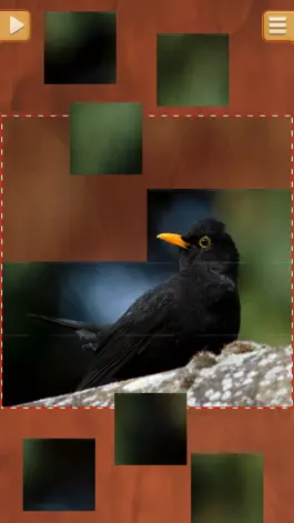 Game screenshot Birds Jigsaw Puzzles - Amazing Logical Game hack