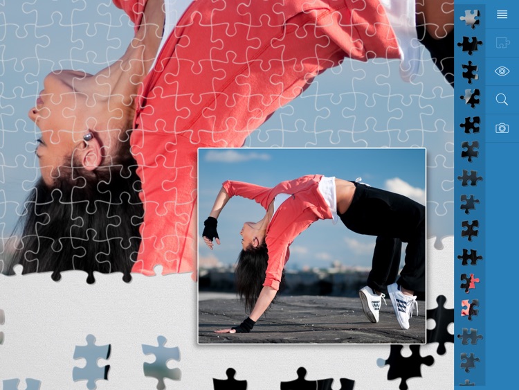 Jigsaw Puzzles Active Life