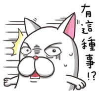 法鬥麻糬肥吱吱 (生活用語篇)