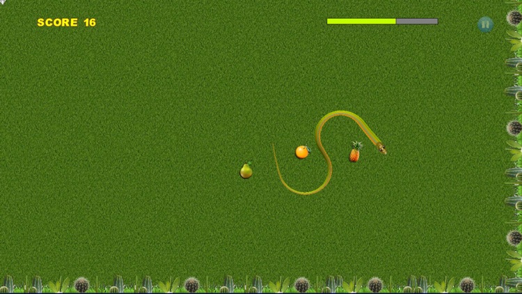 Hungry Snake 2
