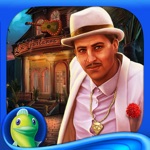 Cadenza Havana Nights Full