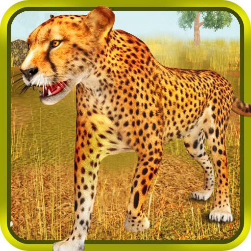 Cheetah Simulator 3d icon