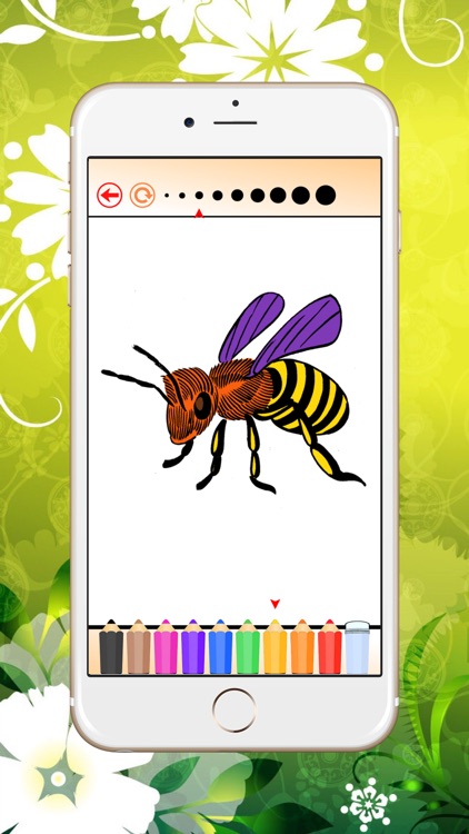Coloring Book Insect and Arachnid: Learn to paint and color a bee, spider and more