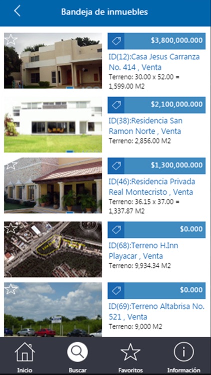 Lago Bienes Raices screenshot-3