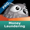 Money Laundering Pro