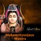 Lord Shiva Maha Mrityunjaya Mantra (Tryambakam)