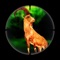 Ultimate Shooting takes the most popular and realistic hunting game to extreme wilderness environments in search of the biggest, most prized game around