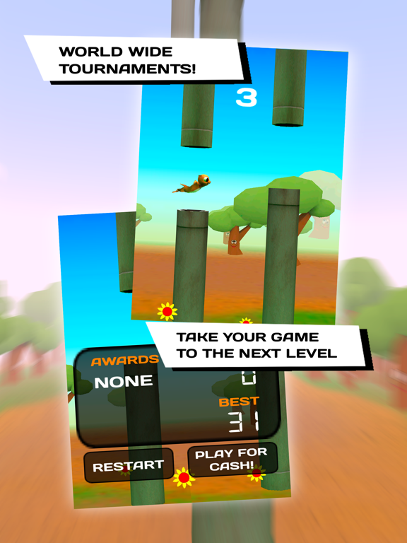 What The Flap! - Tournament screenshot 2