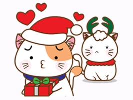 Christmas of Pretty Cat