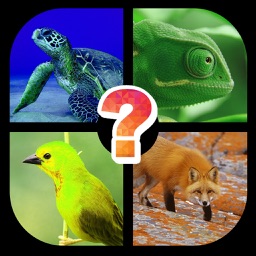 Guess Picture with One Word (Trivia Quiz)