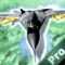 Aircraft Race Pro: Close to others pilots to score