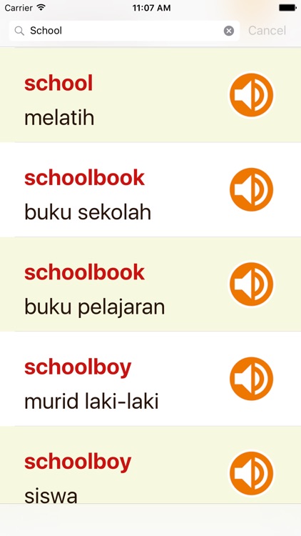 English Indonesian Dictionary Offline For iPad screenshot-4