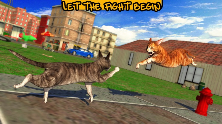 Street Cat Sim 2016 screenshot-3