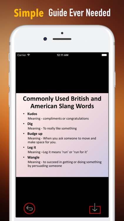 Modern American Slang Study Guide and Glossary