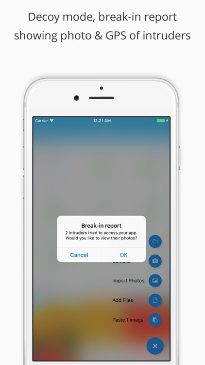 Pocket Files Pro - Hide & lock photo, video, docs screenshot-3