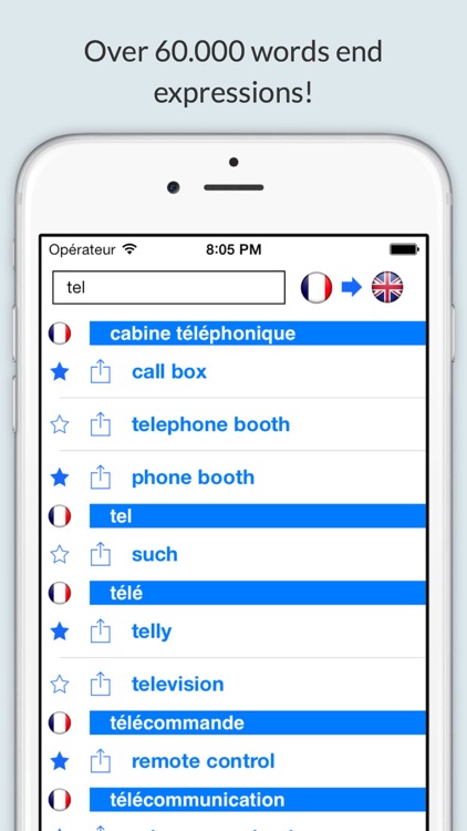 Offline English French Dictionary with Voice