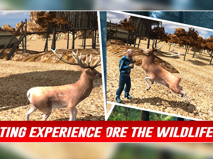 野生动物园鹿狩猎2016年 - 动物狙击第三人