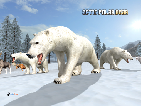 Arctic Polar Bear для iPad