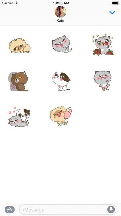 Couple Cat Animated Sticker for iMessage