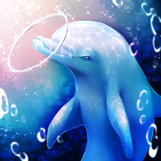 Activities of Aquarium Dolphin Simulation Game