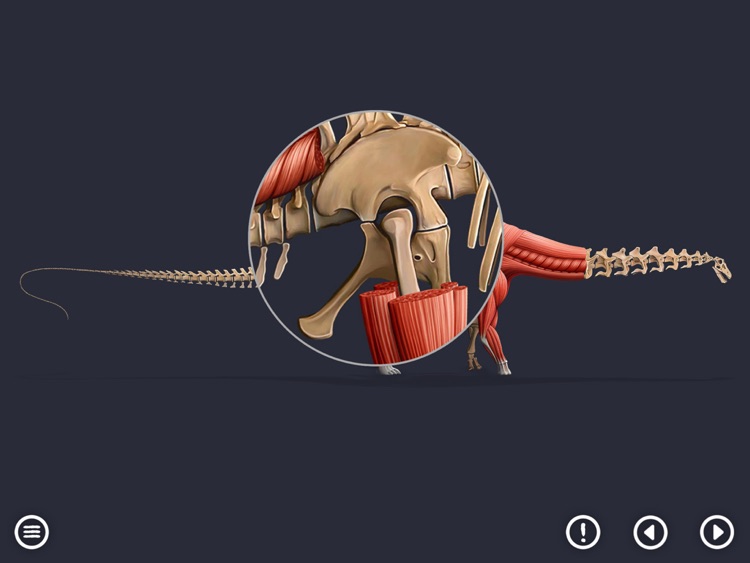 World of Dinosaurs: KIDS screenshot-0