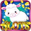 Sweet Puppy Slot Machine:Roll the cute animal dice