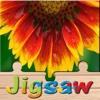 Flower Jigsaw Puzzle HD Amazing Quest Game Adult