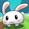 Bunny Run!