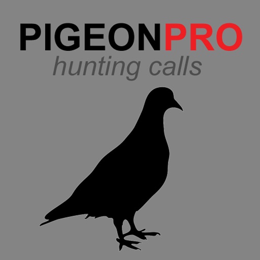 REAL Pigeon Calls and Pigeon Sounds for Hunting! - BLUETOOTH COMPATIBLE