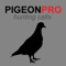 REAL Pigeon Calls and Pigeon Sounds for Hunting! - BLUETOOTH COMPATIBLE