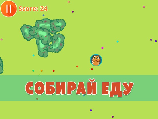 Скачать игру Cat.io FULL