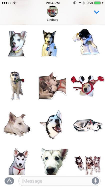 Husky Stickers by Cutesy screenshot-4