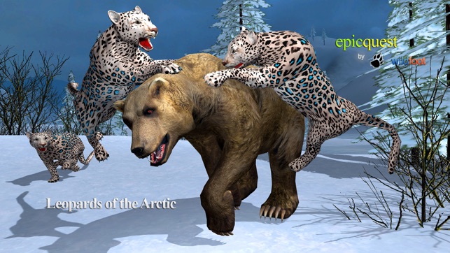 Leopards of the Arctic(圖3)-速報App